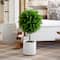 2.5ft. UV-Resistant Artificial Cedar Ball Topiary Tree in White Decorative Planter